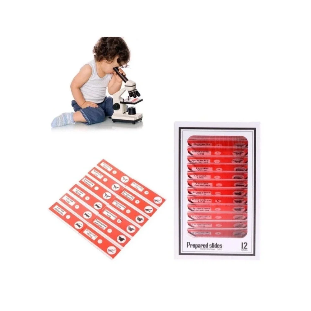 48pcs Prepared Microscope Slides for Kids Animals Insects Plants Biology Science